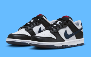 Nike GS Dunk Low 